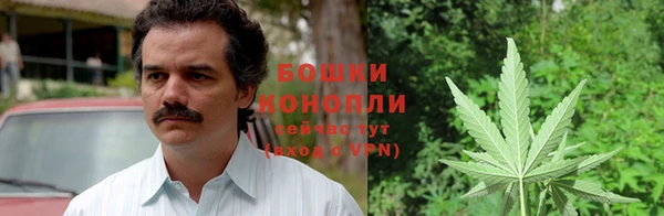 индика Архангельск