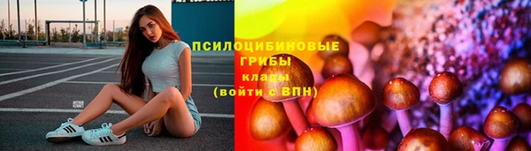 соль ск Нижний Тагил