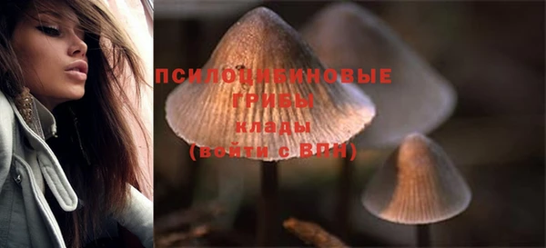 дурь Сосновка