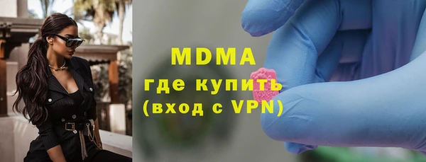 индика Архангельск