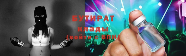 индика Архангельск