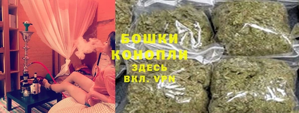индика Архангельск
