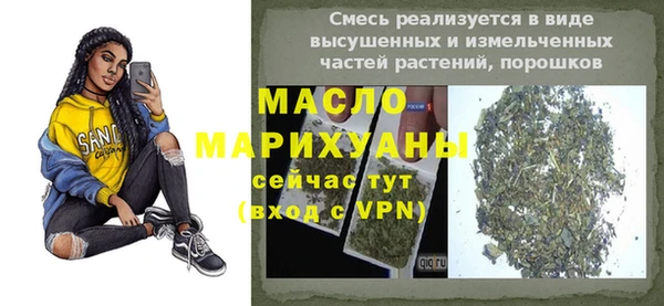 индика Архангельск