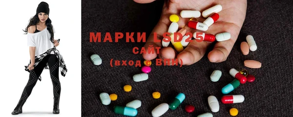индика Архангельск