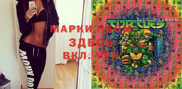 гашик Кострома