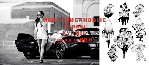 синтетический гашиш Снежногорск