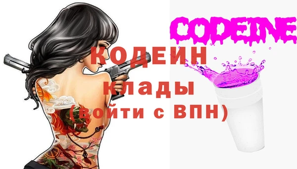 индика Архангельск