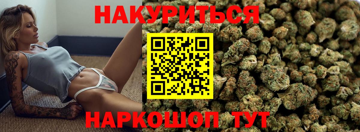 Марихуана план  Шадринск  Бошки марихуана гибрид  Бошки марихуана семена 