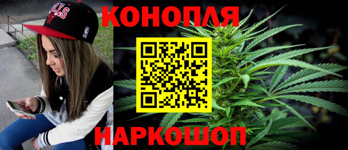 Канабис план Шадринск